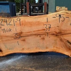 Goby Walnut Products Green Slabs Red Oak Slab 082421-09