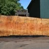 Goby Walnut Products Big Leaf Maple Slab 072121-07