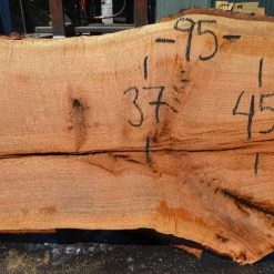 Goby Walnut Products Red Oak Slab 082421-10 Green Slabs