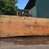 Goby Walnut Products Big Leaf Maple Slab 072121-08