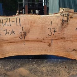 Goby Walnut Products Red Oak Slab 082421-11