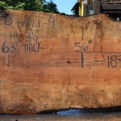 Goby Walnut Products Big Leaf Maple Slab 072121-08 Green Slabs