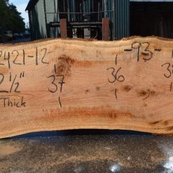 Goby Walnut Products Red Oak Slab 082421-12 Green Slabs