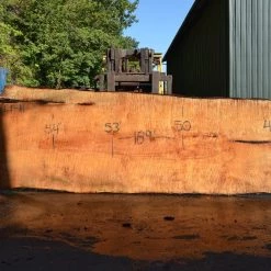 Goby Walnut Products Green Slabs Big Leaf Maple Slab 072121-11