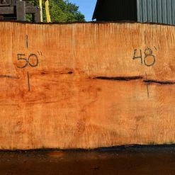 Goby Walnut Products Green Slabs Big Leaf Maple Slab 072121-11