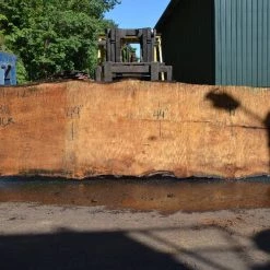Goby Walnut Products Big Leaf Maple Slab 072121-12