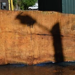 Goby Walnut Products Big Leaf Maple Slab 072121-12