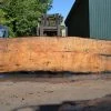 Goby Walnut Products Big Leaf Maple Slab 072121-13
