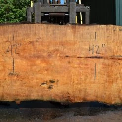 Goby Walnut Products Big Leaf Maple Slab 072121-13
