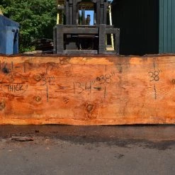 Goby Walnut Products Green Slabs Oregon Fir Slab 072421-01
