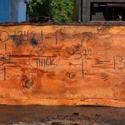 Goby Walnut Products Green Slabs Oregon Fir Slab 072421-01
