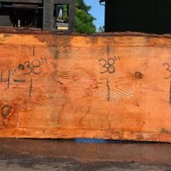 Goby Walnut Products Green Slabs Oregon Fir Slab 072421-01