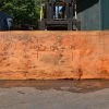 Goby Walnut Products Oregon Fir Slab 072421-03 Green Slabs