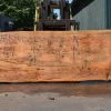 Goby Walnut Products Green Slabs Oregon Fir Slab 072421-04