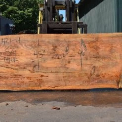 Goby Walnut Products Green Slabs Oregon Fir Slab 072421-04