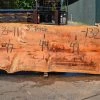 Goby Walnut Products Green Slabs Oregon Fir Slab 072421-11