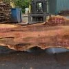 Goby Walnut Products Big Leaf Maple Slab 083121-01 Green Slabs