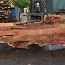Goby Walnut Products Big Leaf Maple Slab 083121-01 Green Slabs