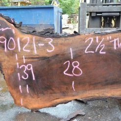 Goby Walnut Products Green Slabs Oregon Black Walnut Slab 090121x-03