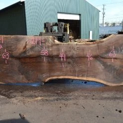 Goby Walnut Products Green Slabs Oregon Black Walnut Slab 090721-01