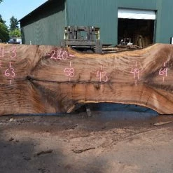 Goby Walnut Products Oregon Black Walnut Slab 090721-03