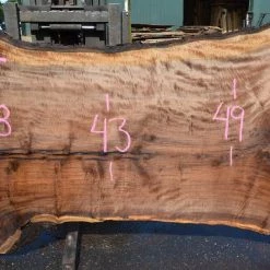 Goby Walnut Products Oregon Black Walnut Slab 090721-03