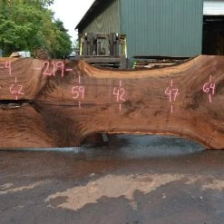 Goby Walnut Products Oregon Black Walnut Slab 090721-04 Green Slabs