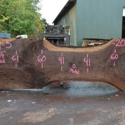 Goby Walnut Products Oregon Black Walnut Slab 090721-05