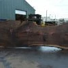 Goby Walnut Products Oregon Black Walnut Slab 090721-06 Green Slabs