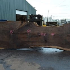 Goby Walnut Products Oregon Black Walnut Slab 090721-06 Green Slabs