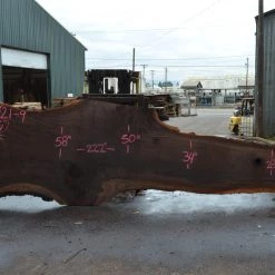Goby Walnut Products Oregon Black Walnut Slab 090721-09