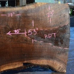 Goby Walnut Products Oregon Black Walnut Slab 091121-03 Green Slabs