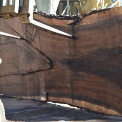 Goby Walnut Products Oregon Black Walnut Slab 091121-07 Green Slabs