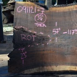 Goby Walnut Products Oregon Black Walnut Slab 091121-07 Green Slabs