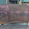 Goby Walnut Products Green Slabs Oregon Black Walnut Slab 091221-05