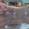 Goby Walnut Products Oregon Black Walnut Slab 091221-06 Green Slabs
