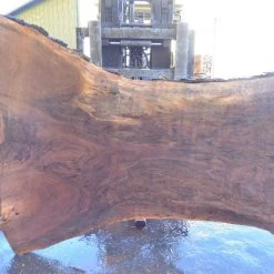 Goby Walnut Products Oregon Black Walnut Slab 091221-08