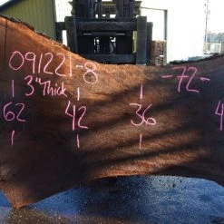 Goby Walnut Products Oregon Black Walnut Slab 091221-08