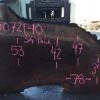 Goby Walnut Products Oregon Black Walnut Slab 090721-10