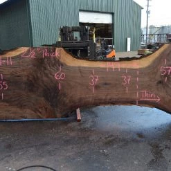 Goby Walnut Products Oregon Black Walnut Slab 090721-11