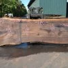 Goby Walnut Products Green Slabs Oregon Black Walnut Slab 091521-02