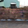 Goby Walnut Products Oregon Black Walnut Slab 091521-03