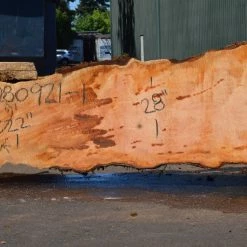 Goby Walnut Products Green Slabs Big Leaf Maple Slab 080921-01