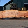Goby Walnut Products Green Slabs Big Leaf Maple Slab 080921-02