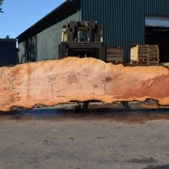 Goby Walnut Products Green Slabs Big Leaf Maple Slab 080921-02