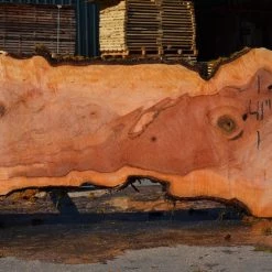 Goby Walnut Products Green Slabs Big Leaf Maple Slab 080921-02
