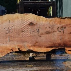 Goby Walnut Products Big Leaf Maple Slab 080921-03 Green Slabs