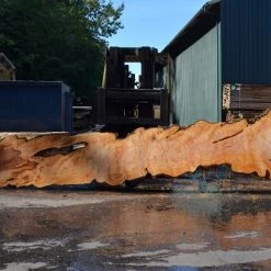 Goby Walnut Products Green Slabs Big Leaf Maple Slab 080921-04