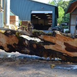 Goby Walnut Products Green Slabs Big Leaf Maple Slab 080921-04