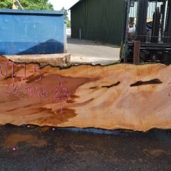 Goby Walnut Products Big Leaf Maple Slab 080921-05 Green Slabs
